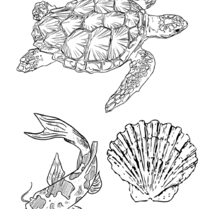 Ariel's Friends Colouring Sheet Printable for Kids