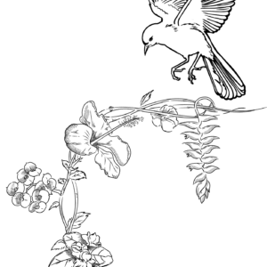 Exotic Plant Colouring Page – Relaxing Printable for Adults