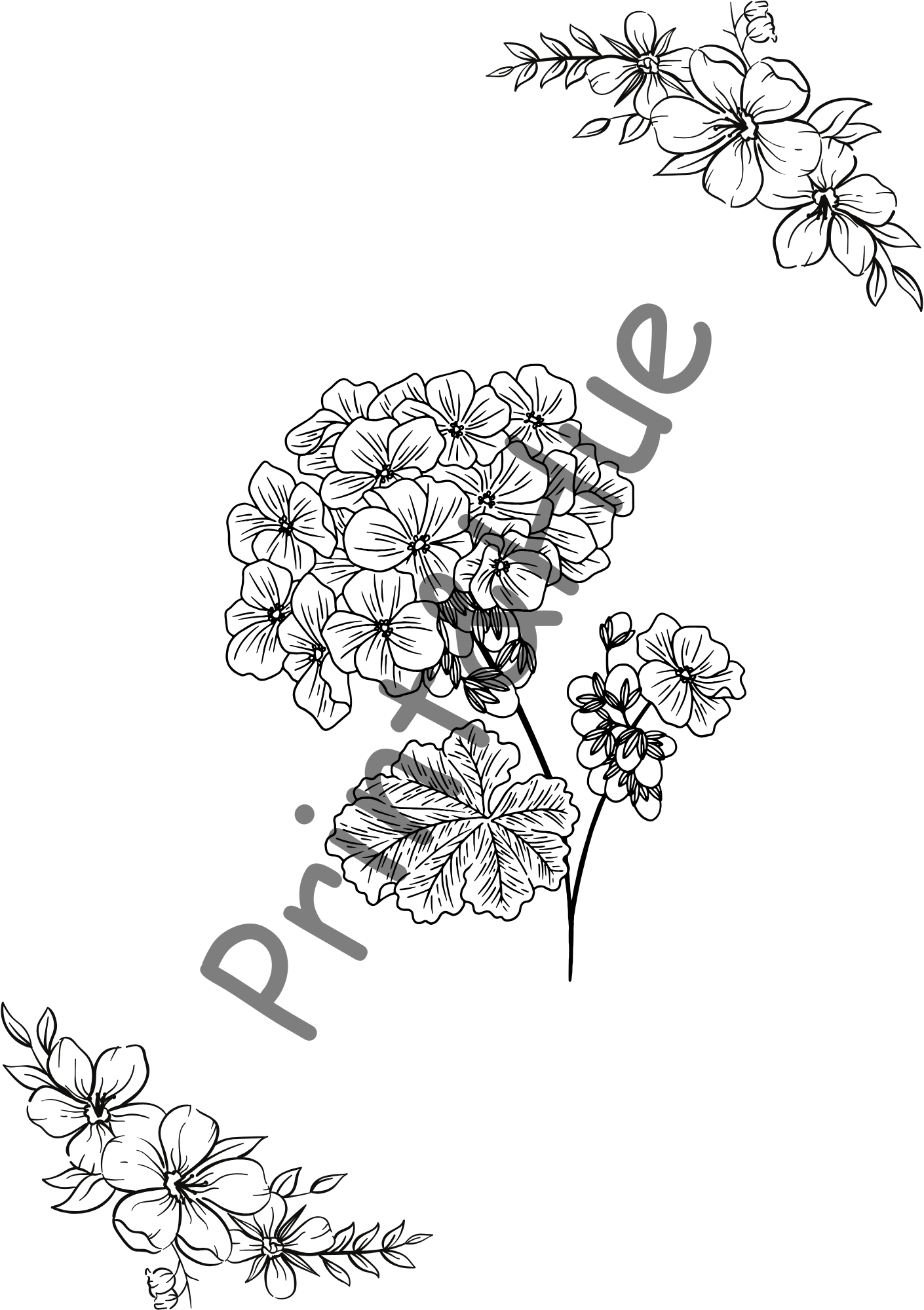 Hydrangea Inspired Flower Colouring Sheet β Mindful Printable