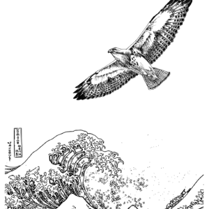 Symbolic Eagle & Sea Adult Colouring Page – Printable Art Therapy