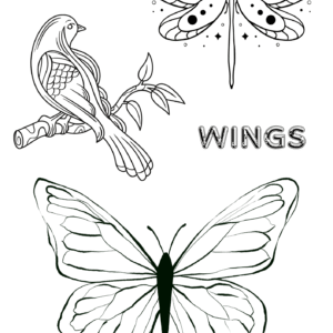 Wings Club Colouring Sheets for Kids – Birds, Dragonflies & Butterflies