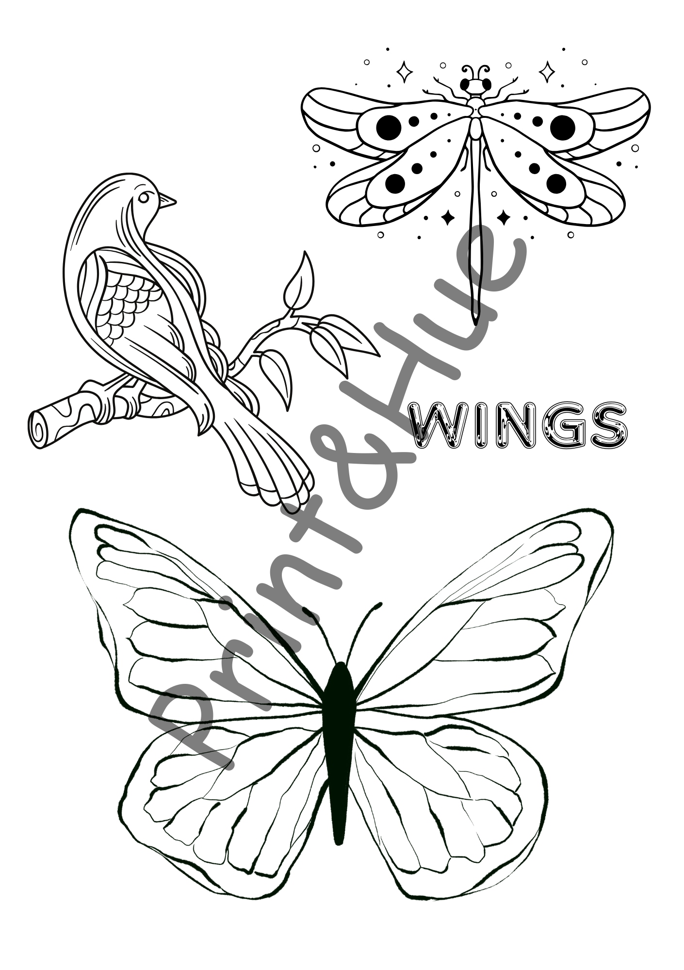 Wings Club Colouring Sheets for Kids – Birds, Dragonflies & Butterflies