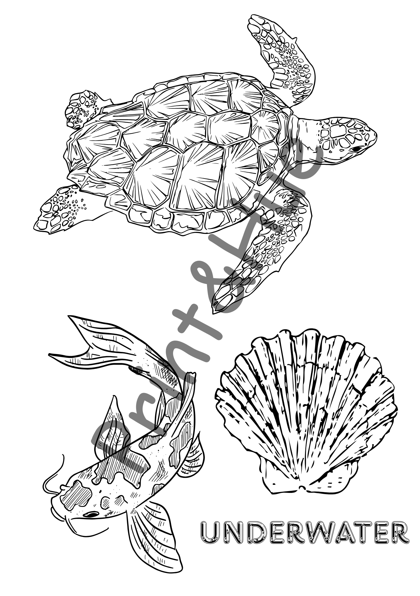 Kids Colouring Sheets Printable Set | Fun Activity Pages for Children - Image 2