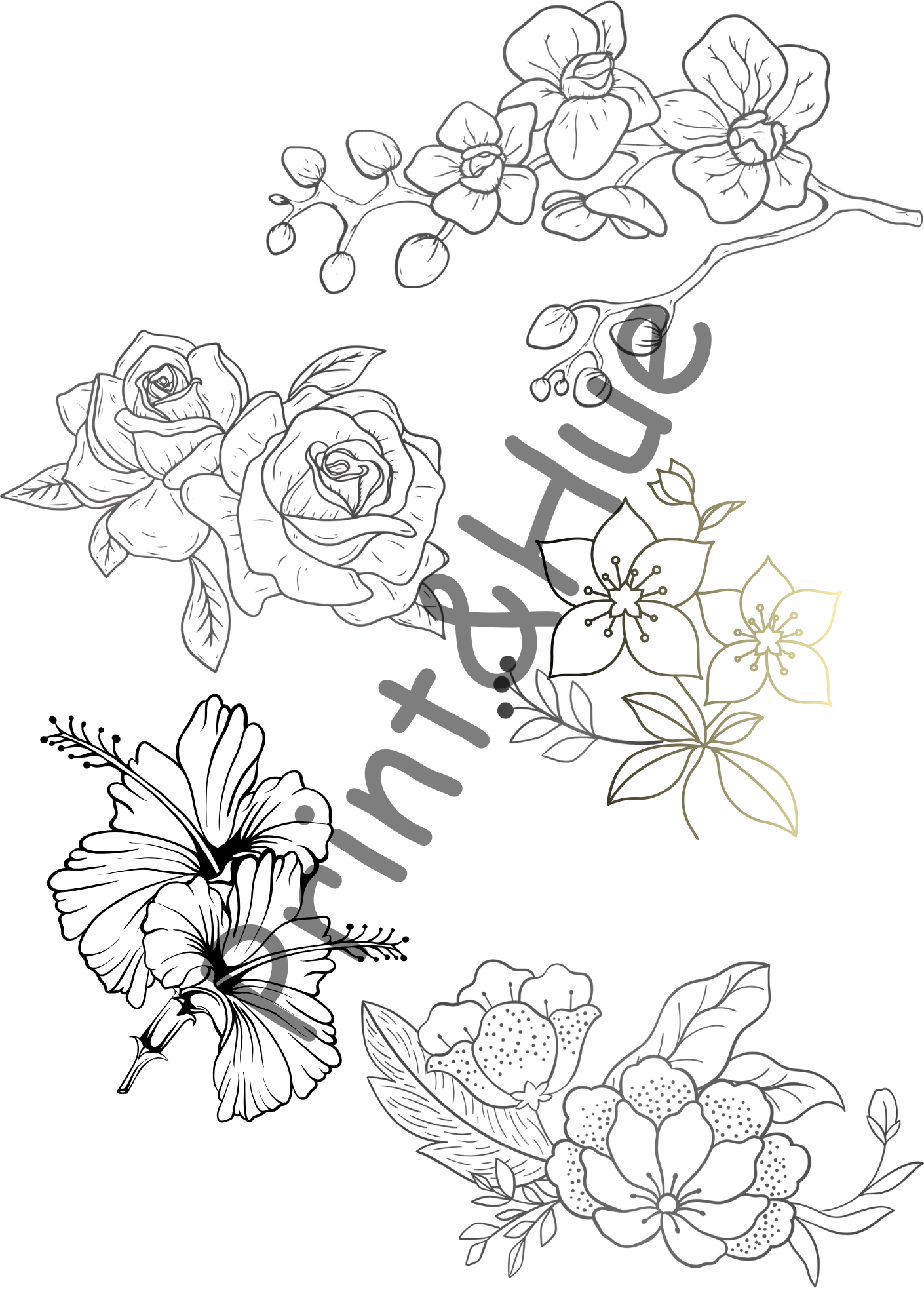 Flower Colouring Sheet Printables Set | Floral Designs for Relaxation - Image 8