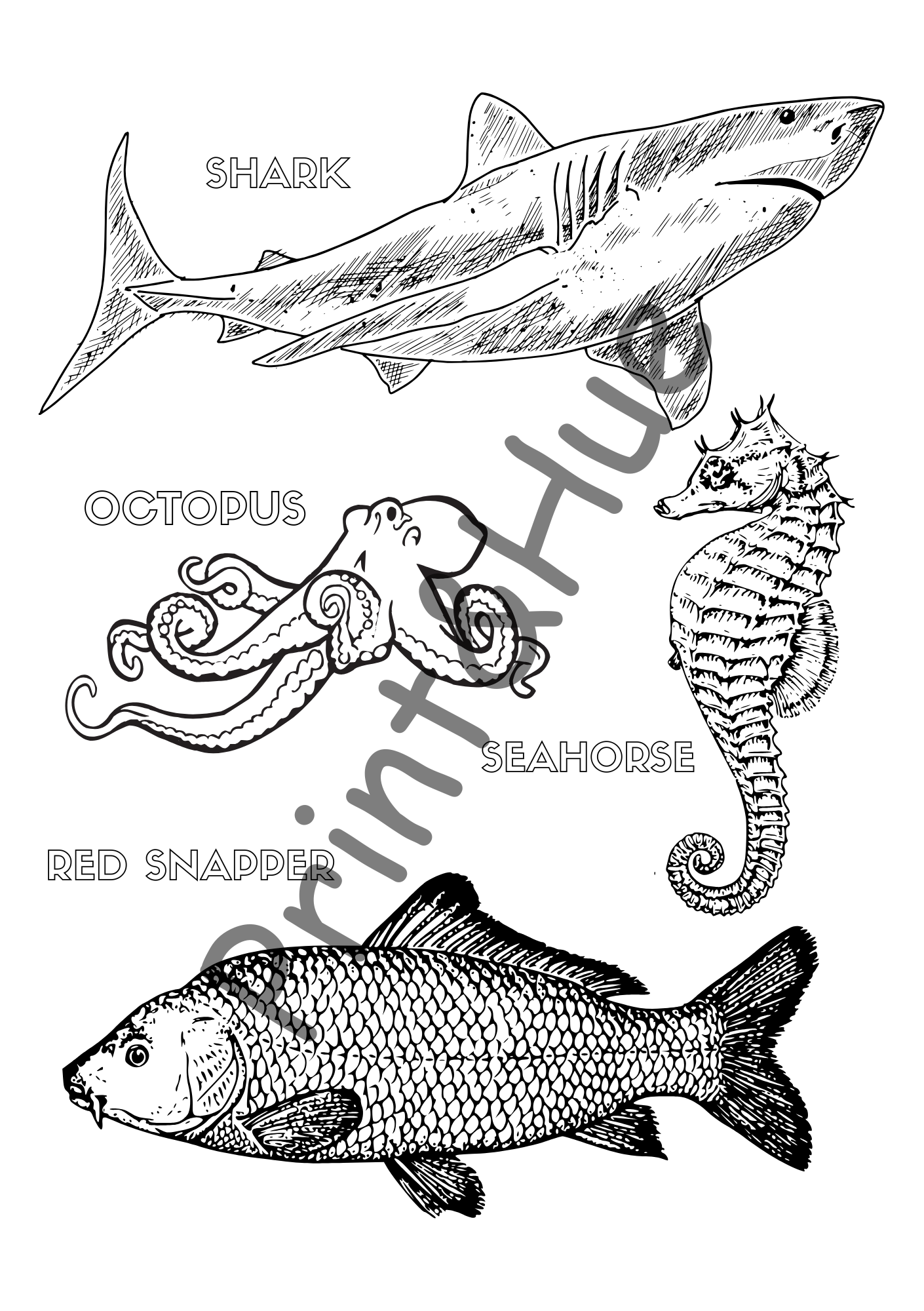 Kids Colouring Sheets Printable Set | Fun Activity Pages for Children - Image 7