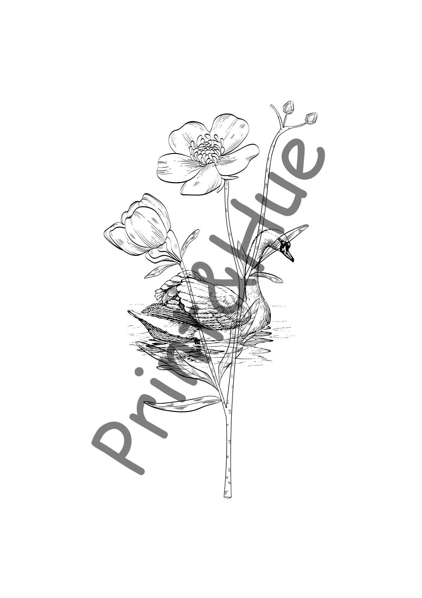 Artsy Colouring Pages Combo Set for Adults | Relaxing Printable Set